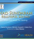 Nad Sundaram beautiful sound MP3 cover - imprinted music for healing.
