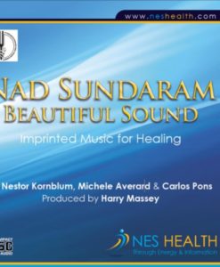 Nad Sundaram beautiful sound MP3 cover - imprinted music for healing.