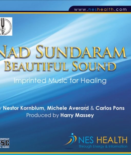 Nad Sundaram beautiful sound MP3 cover - imprinted music for healing.