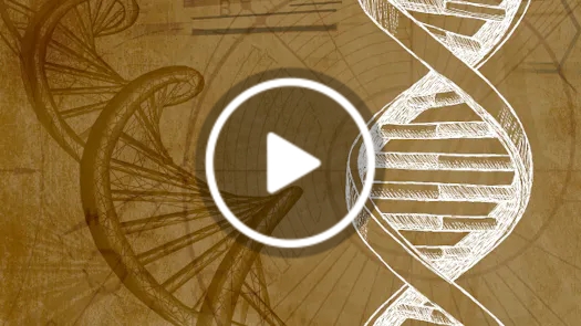 Energy, Information & the Body: A New Model of Human Health