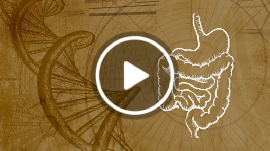 Energy, Information & the Body: A New Model of Human Health