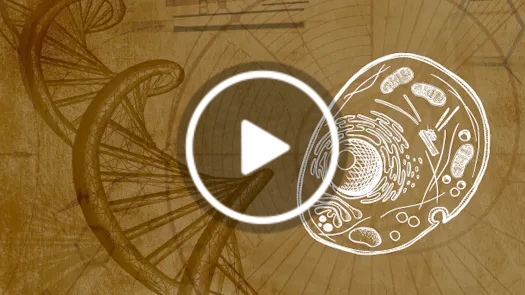 Energy, Information & the Body: A New Model of Human Health