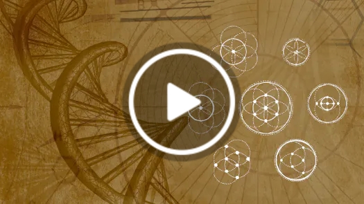 Energy, Information & the Body: A New Model of Human Health