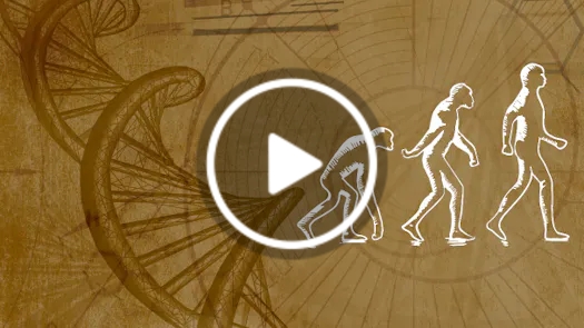 Energy, Information & the Body: A New Model of Human Health