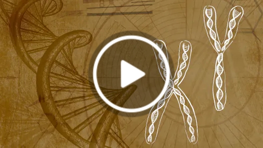 Energy, Information & the Body: A New Model of Human Health