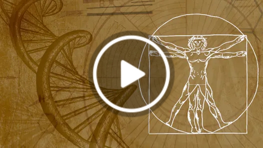 Energy, Information & the Body: A New Model of Human Health