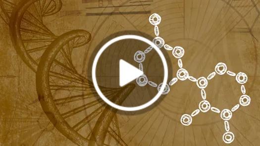 Energy, Information & the Body: A New Model of Human Health