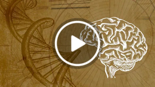 Energy, Information & the Body: A New Model of Human Health