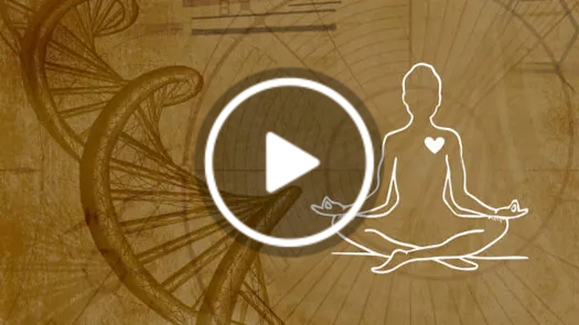 Energy, Information & the Body: A New Model of Human Health