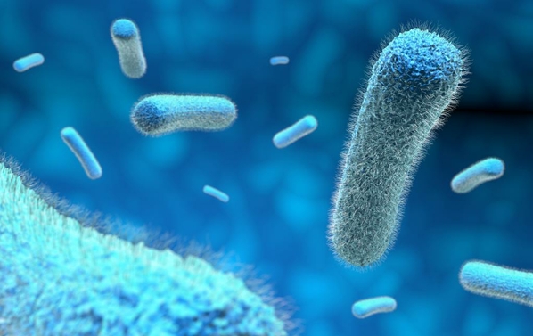 Are microbes solely to blame - with NES body-field scan and therapy you can improve your well being and health right from the comfort of your home.