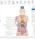 NES BioEnergetiX WellNES System