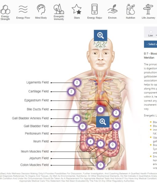 NES BioEnergetiX WellNES System screenshot - a revolutionary, non-invasive bioenergetic assessment of the body field covering over 300 health and wellness points and personalized therapy recommendation for using NES Infoceuticals and NES miHealth biofeedback device.