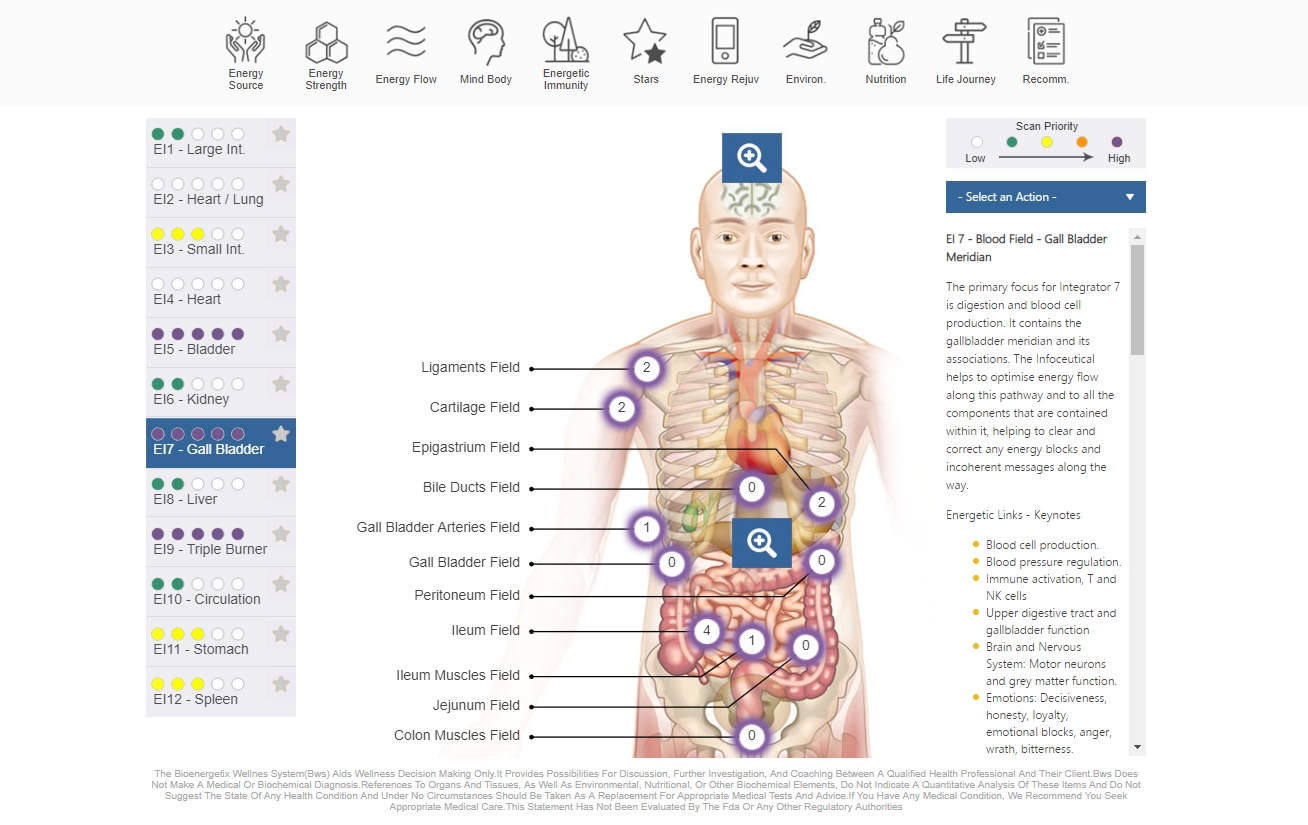 NES BioEnergetiX WellNES System screenshot - a revolutionary, non-invasive bioenergetic assessment of the body field covering over 300 health and wellness points and personalized therapy recommendation for using NES Infoceuticals and NES miHealth biofeedback device.