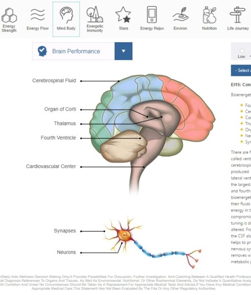 NES BioEnergetiX WellNES System screenshot - a revolutionary, non-invasive bioenergetic assessment of the body field covering over 300 health and wellness points and personalized therapy recommendation for using NES Infoceuticals and NES miHealth biofeedback device.