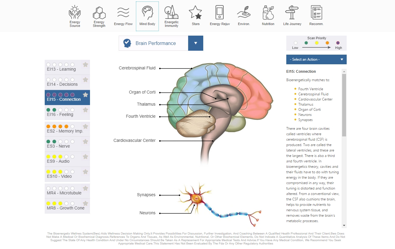 NES BioEnergetiX WellNES System screenshot - a revolutionary, non-invasive bioenergetic assessment of the body field covering over 300 health and wellness points and personalized therapy recommendation for using NES Infoceuticals and NES miHealth biofeedback device.