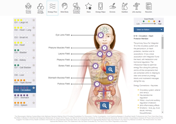 NES BioEnergetiX WellNES system body field scan screenshot - a revolutionary, non-invasive bioenergetic assessment of the body field covering over 300 health and wellness points that help identify what's impacting a person's energy levels and gain a deeper insight into their holographic self.