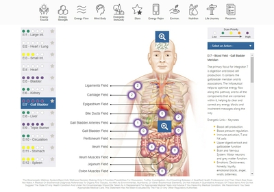 NES BioEnergetiX WellNES system body field scan screenshot - a revolutionary, non-invasive bioenergetic assessment of the body field covering over 300 health and wellness points that help identify what's impacting a person's energy levels and gain a deeper insight into their holographic self.