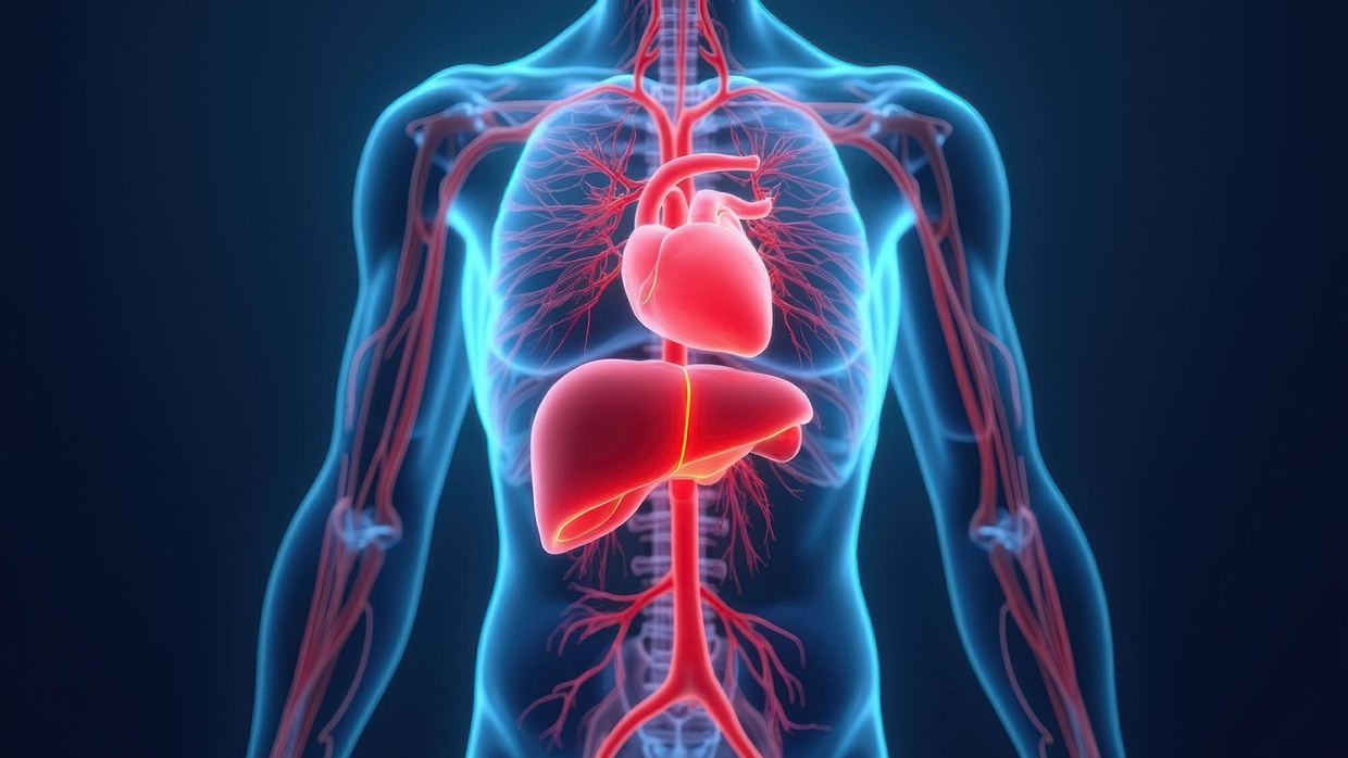 Beyond Cholesterol: What Really Shapes Heart Health?