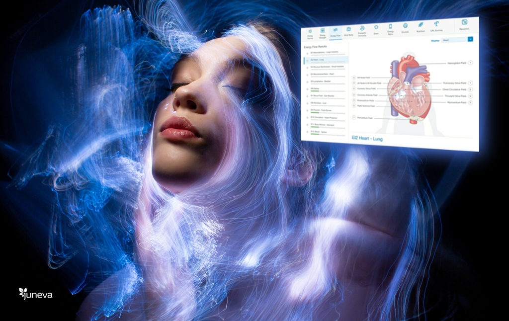 Beyond Conventional Medicine: Discover the Science of Your Body‑Field