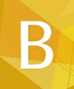 Type B Products