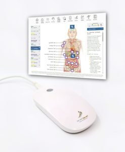 Juneva Health Body-Field Scan Session (Clinic) appointment - a revolutionary, non-invasive bioenergetic assessment of the body field covering over 300 health and wellness points and personalized therapy recommendation for using NES Infoceuticals and NES miHealth biofeedback device.