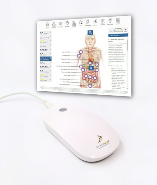 Juneva Health Body-Field Scan Session (Clinic) appointment - a revolutionary, non-invasive bioenergetic assessment of the body field covering over 300 health and wellness points and personalized therapy recommendation for using NES Infoceuticals and NES miHealth biofeedback device.