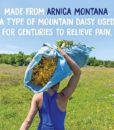 Boiron Arnica Cream