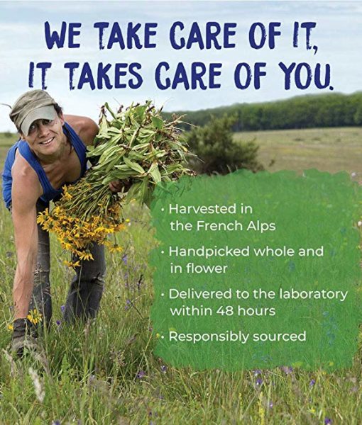 Boiron Arnica Cream - homeopathic remedy to relieve muscle pain and stiffness due to minor injuries, overexertion and falls, and, reduces pain, swelling and discoloration from bruises.