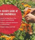 Boiron Calendula Cream