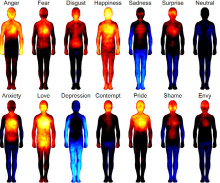 Brain holograms and liberator - release past shock & trauma.