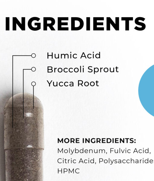 CellCore BioToxin Binder promotes the body’s natural ability to detoxify and lends increased support to the gut microbiome, which optimizes immunity and digestive functions.