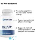 CellCore Energy Boost Kit