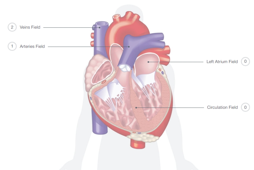 Can Bioenergetics Help Your Heart Health.