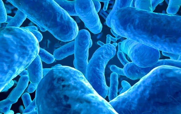 Discover your gut health and how your superfoods can restore your microbiome.