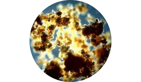Durable CoQ10 - Fast-Acting with 9x Better Absorption