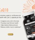 Durable CoQ10 Durable CoQ10