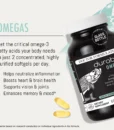 Durable OMEGAS Durable OMEGAS