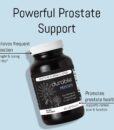 Durable PROSTATE