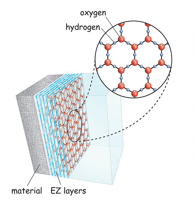 EZ water structure.