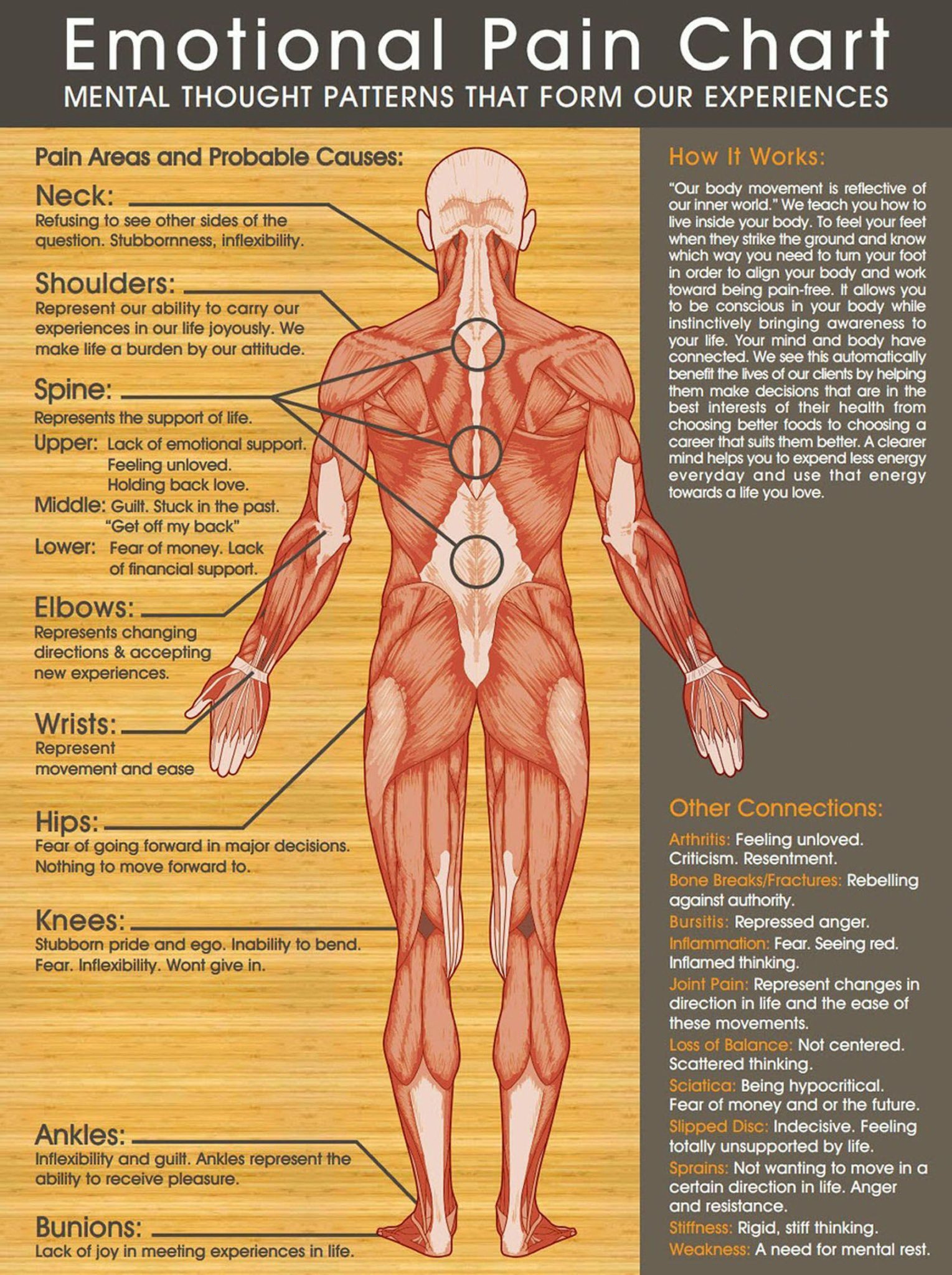 Emotional Immunity and the Power of Your Mind 2024.