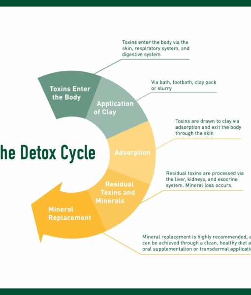 The detox cycle when using Enviromedica Magnetic Clay Bath - an effective, therapeutic and mineral-rich detoxification in the comfort of your home.