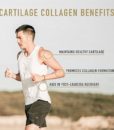Enviromedica Pastured Cartilage Collagen