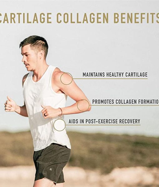 Enviromedica Pastured Cartilage Collagen provides a concentrated matrix of naturally occurring nutrients in their correct physiological ratios. This ancient nutritional powerhouse plays a fundamental role in supporting healthy joints, cartilage, and immune function.