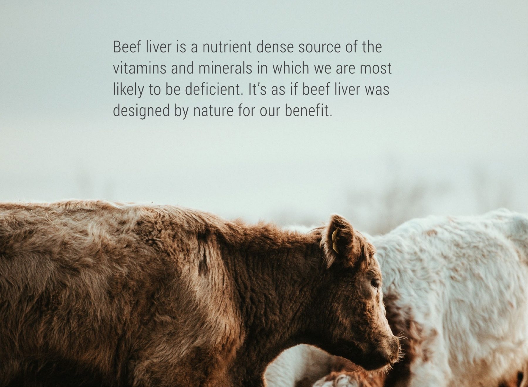 Enviromedica Pastured Cartilage Collagen provides a concentrated matrix of naturally occurring nutrients in their correct physiological ratios. This ancient nutritional powerhouse plays a fundamental role in supporting healthy joints, cartilage, and immune function.