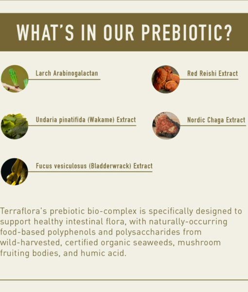 Ingredients of the all organic Enviromedica Terraflora Broad Spectrum Synbiotic formulated with a combination of spore form probiotics, and advanced, food-based, ancient prebiotics designed for robust support of gastrointestinal (microbiome) and immune health.