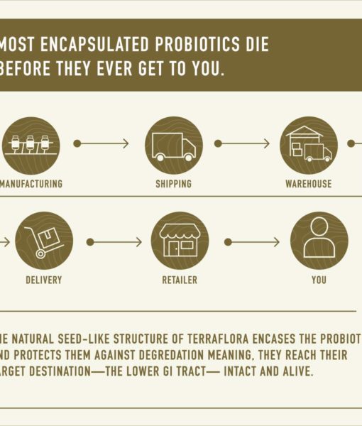 What differentiates the all organic Enviromedica Terraflora Broad Spectrum Synbiotic from other solutions and thereby the #1 solution for robust support of gastrointestinal (microbiome) and immune health.