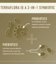 Enviromedica Terraflora Broad Spectrum Synbiotic