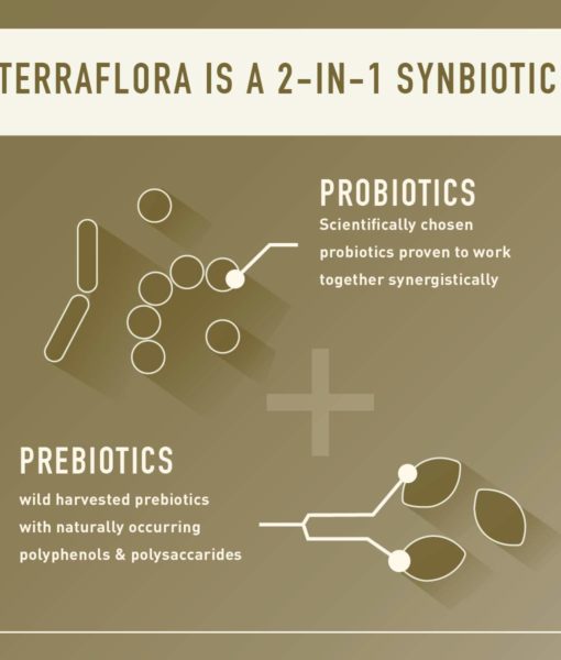 The symbiosis of probiotics and prebiotics make Enviromedica Terraflora Broad Spectrum Synbiotic so unique.