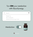 GlycoSynergy – Metabolism