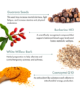 GlycoSynergy – Metabolism